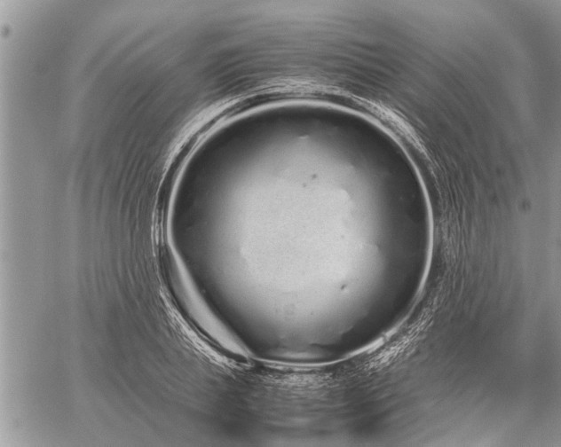 X0000059800839200510211049