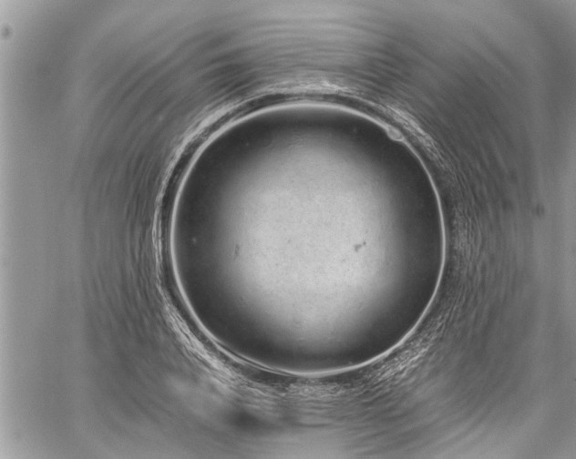 X0000059800840200510211049