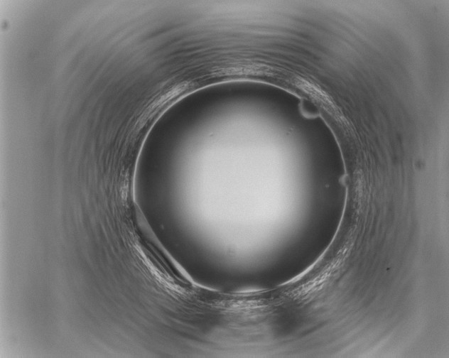 X0000059800841200510211049