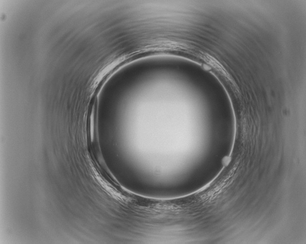 X0000059800842200510211049