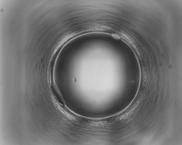 X0000059800843200510211050