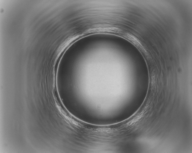 X0000059800844200510211050