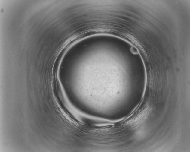 X0000059800845200510211050