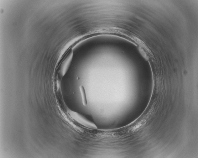 X0000059800846200510211050