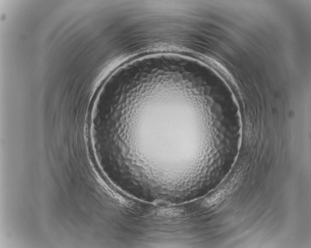 X0000059800847200510211050