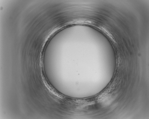 X0000059800848200510211050