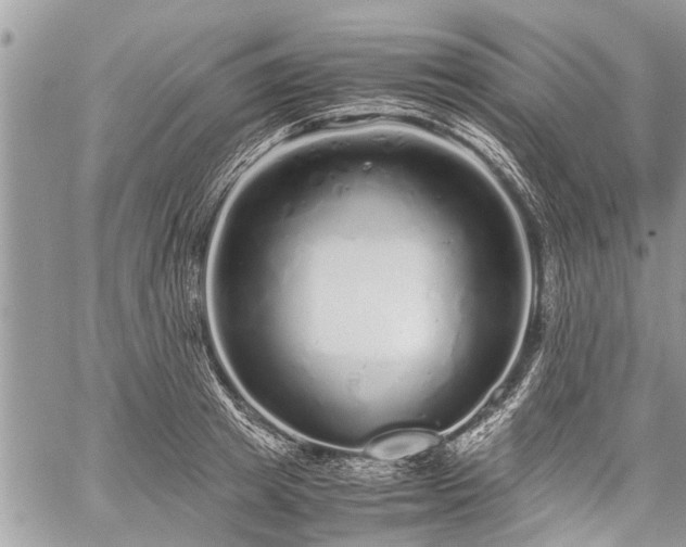 X0000059800849200510211050