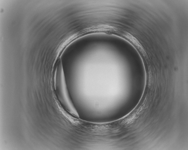 X0000059800850200510211050