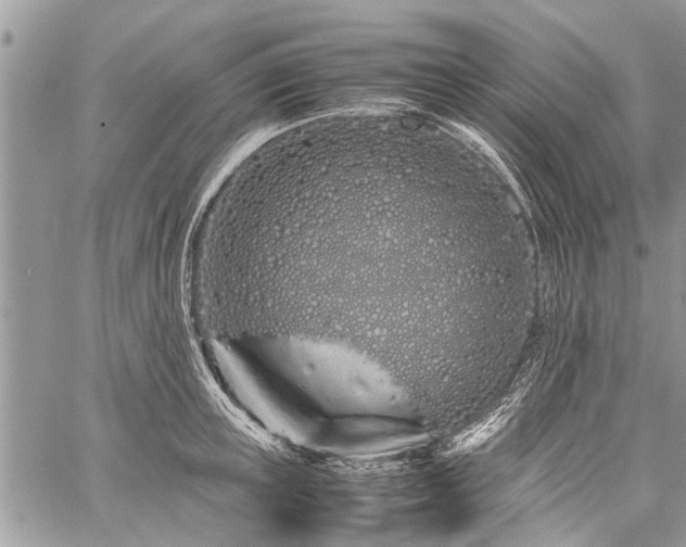 X0000059800851200510211050