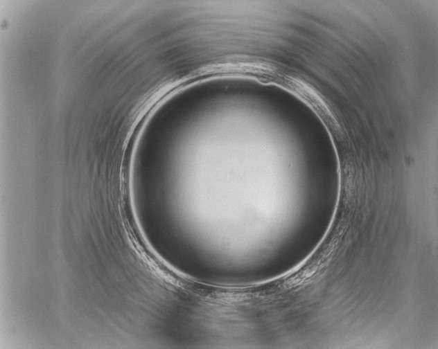 X0000059800852200510211050