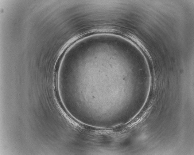 X0000059800853200510211050