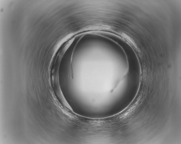 X0000059800854200510211050