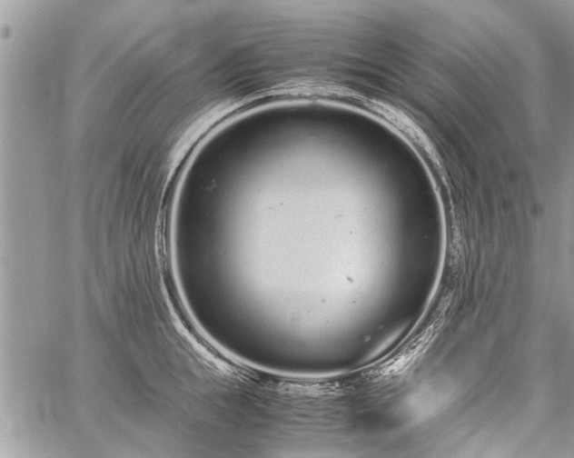 X0000059800855200510211050