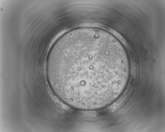 X0000059800856200510211050