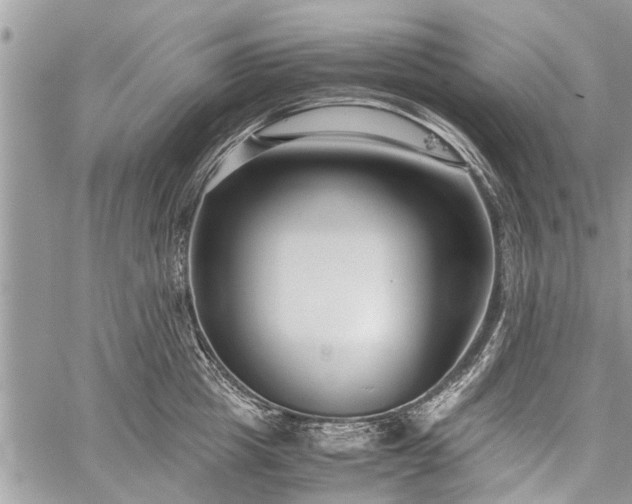 X0000059800857200510211050