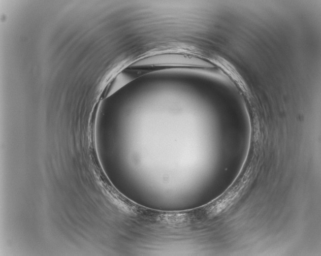 X0000059800858200510211050