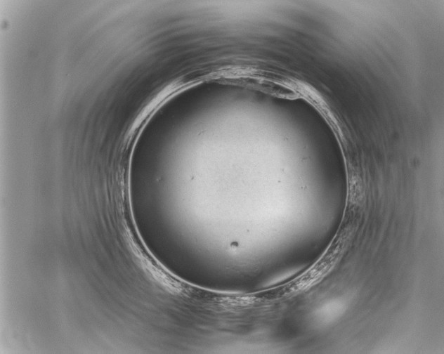 X0000059800859200510211050