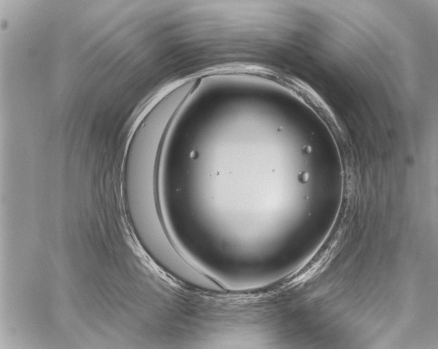 X0000059800860200510211050