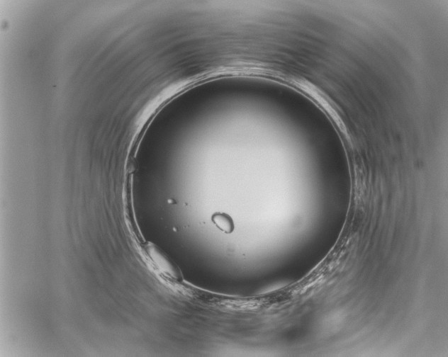 X0000059800861200510211050