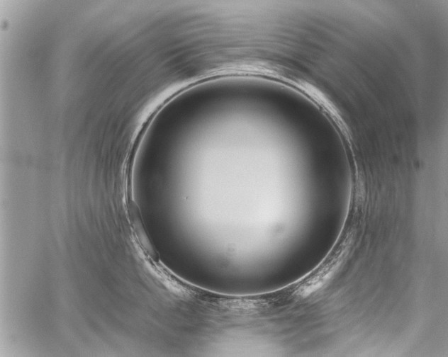 X0000059800862200510211050