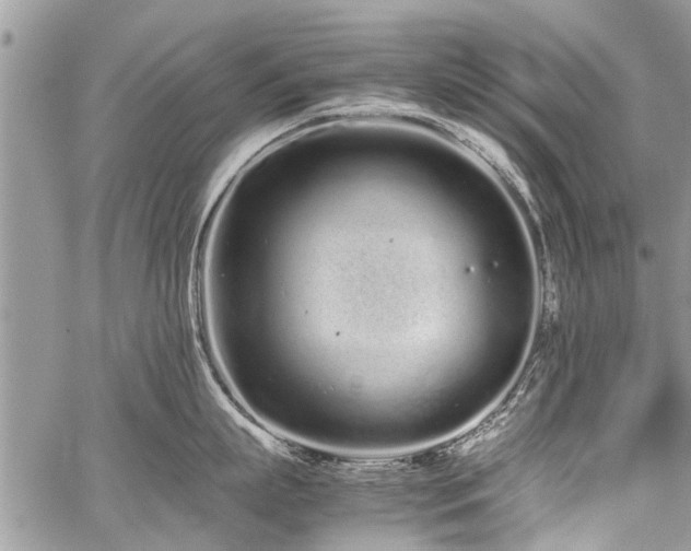 X0000059800863200510211050