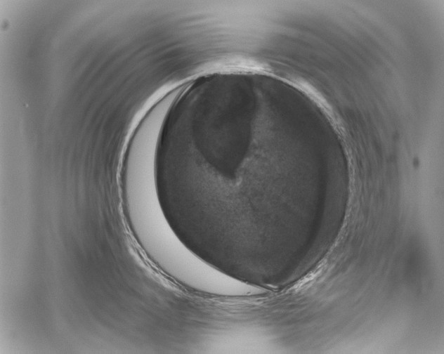 X0000059800864200510211050