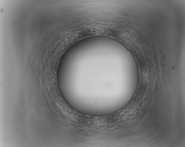 X0000059800865200510211049