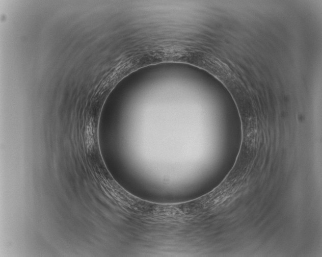 X0000059800866200510211049