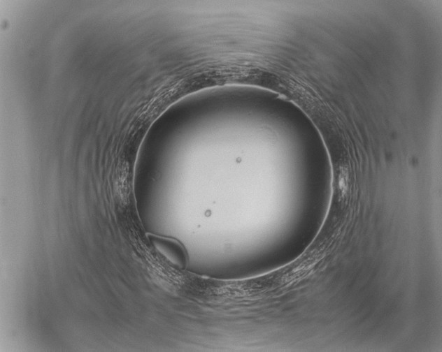 X0000059800867200510211049