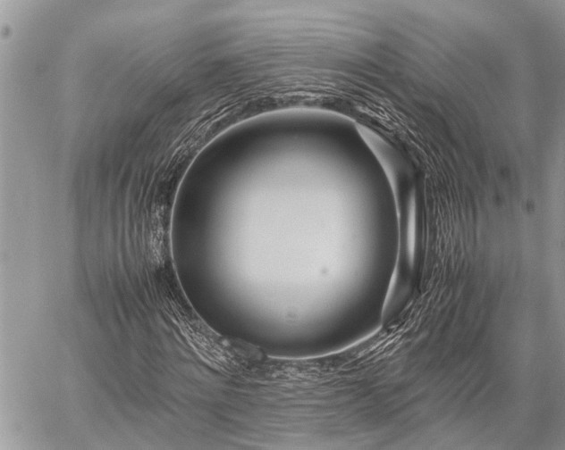 X0000059800868200510211049