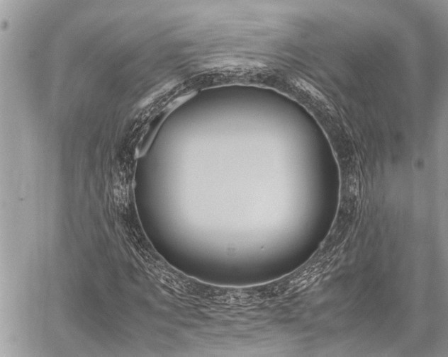 X0000059800869200510211049