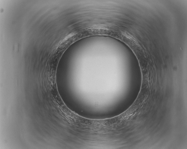 X0000059800870200510211049