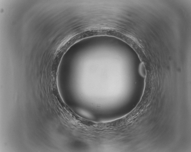 X0000059800871200510211049