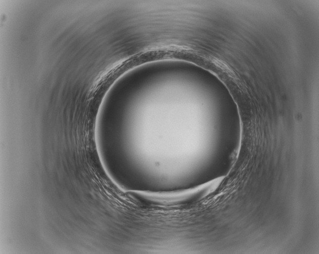 X0000059800872200510211049