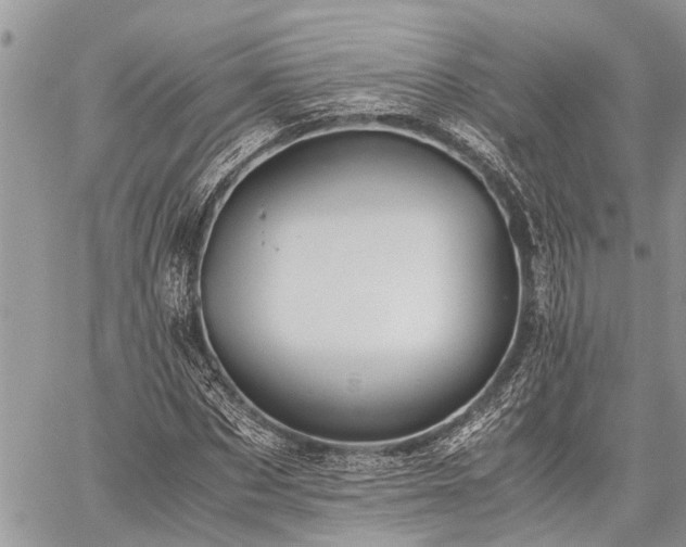 X0000059800873200510211049