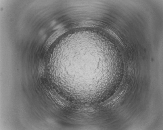 X0000059800874200510211049