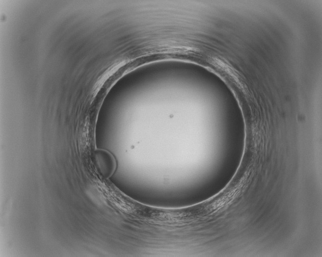 X0000059800875200510211049