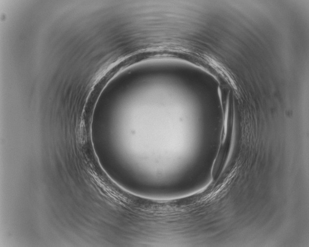 X0000059800876200510211049