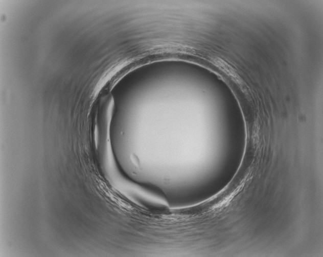 X0000059800877200510211049