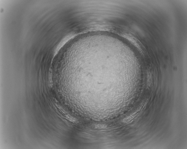 X0000059800878200510211049