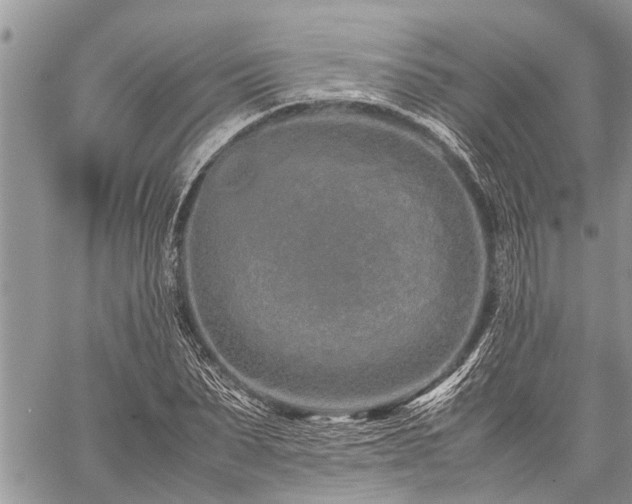 X0000059800879200510211049