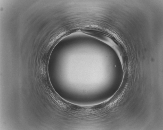 X0000059800881200510211049