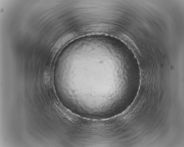 X0000059800882200510211049