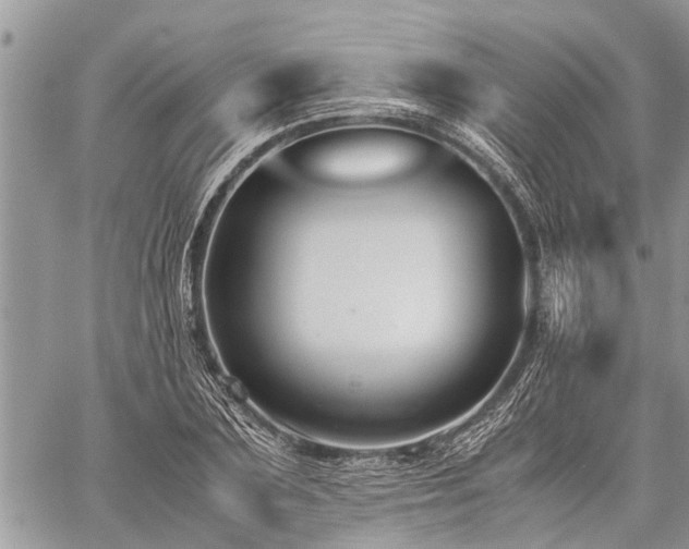 X0000059800883200510211049