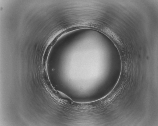 X0000059800884200510211049