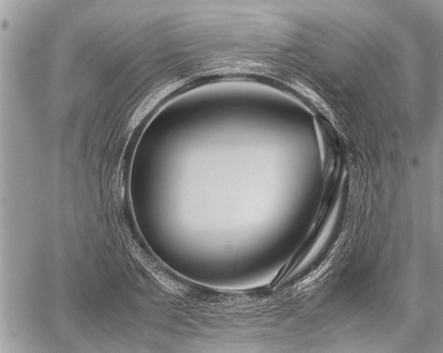 X0000059800885200510211049