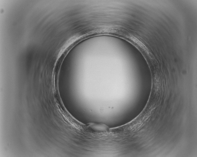 X0000059800886200510211049