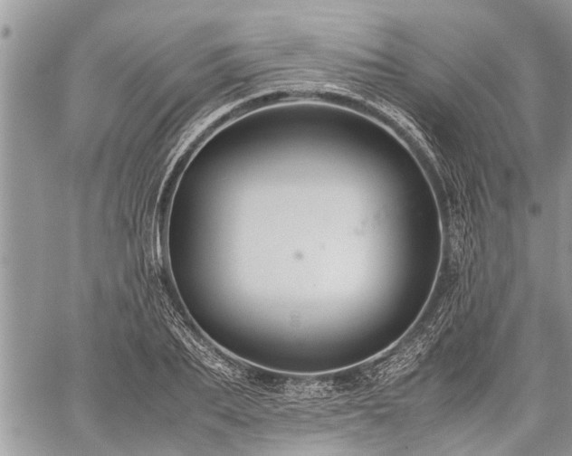 X0000059800887200510211049