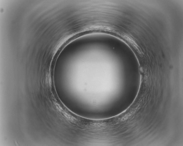 X0000059800888200510211049