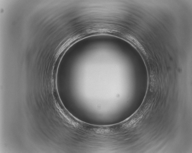 X0000059800890200510211049